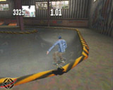 tonyhawkpic1.jpg (14519 bytes)